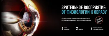 Зрительное восприятие: от физиологии к образу (Алексей Шадрин)