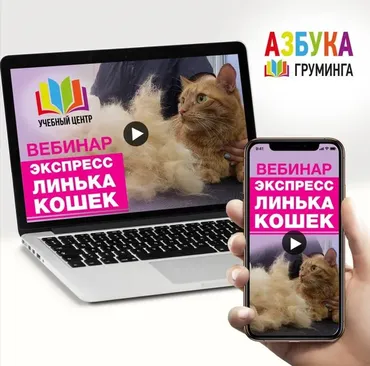 [Азбука Груминга] Экспресс-линька кошек (Ксения Селезнева)