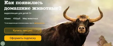 [Детский лекторий] Как появились домашние животные? (Александр Толмачев)