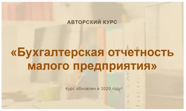 Бухгалтерская отчетность малого предприятия. 2020 (Ольга Шулова)