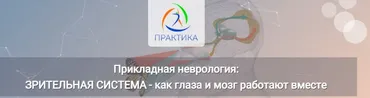 [Центр Практика] Прикладная неврология: Зрительная система - как глаза и мозг работают вместе (Мария Недре)
