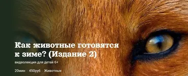 [Детский лекторий] Как животные готовятся  к зиме? (Издание 2) (Александр Толмачев)