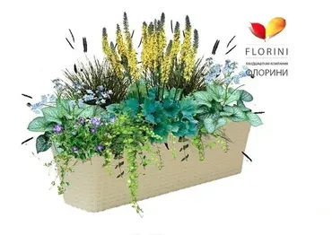 Клумбы в горшке - 32 проекта [Florini]