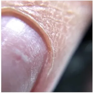 [parisnail] Вебинар «Идеальный карман» (Ксения Ткачук)
