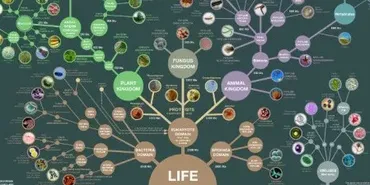 [Архэ] На кого работает эволюция? Эгоистичные гены и многоуровневый отбор (Александр Марков)