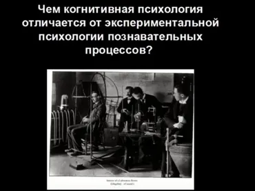 Что такое когнитивная психология, откуда она взялась и куда идёт (Мария Фаликман)