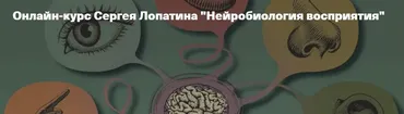 [Архэ] Нейробиология восприятия. Обоняние. Лекция 6 (Сергей Лопатин)