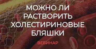 [humberto 2.0] Можно ли растворить холестериновые бляшки (Валерий Подрубаев)