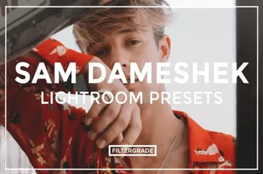 Пресеты лайтрум / Lightroom Presets PC (Sam Dameshek)