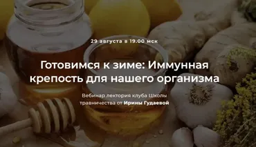 Готовимся к зиме: Иммунная крепость для нашего организма (Ирина Гудаева)