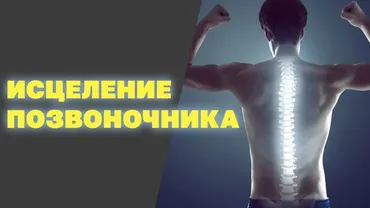 Сеанс исцеления позвоночника (Светлана Белицкая)