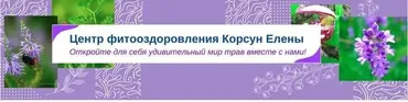 [Fitomama] Травы при остеохондрозе, позвоночных протрузиях и грыжах (Елена Корсун)