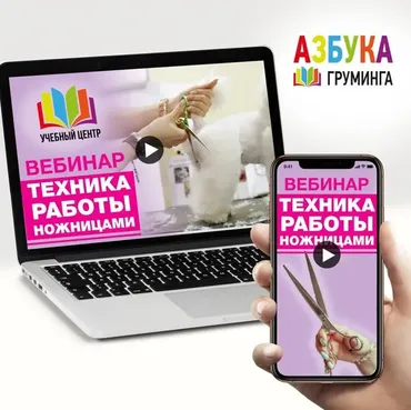[Азбука Груминга] Техника работы ножницами (Дарья Казимова)