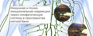 Иммунная и психо-эмоциональная коррекция через лимфатическую систему (Никита Истомин)