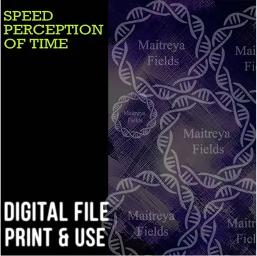 [Maitreya Fields] DM: Скорость восприятия времени. DM: speed perception of time