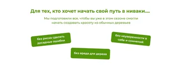 Nivaki 3 Дерево как произведение искусства. Пакет Будущий мастер (Андрей Дарусенков)
