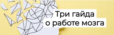 [Humberto.2.0] Три гайда о работе мозга  (Елена Иванова)