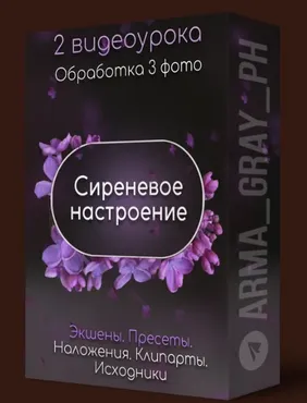 Сиреневое настроение (Arma Gray)