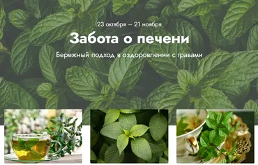 Забота о печени. Тариф Эффективный (Светлана Калмыкова)
