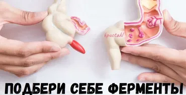 [kpuctakl] Шпаргалка «Подбери себе ферменты» (Кристина Трофимова)