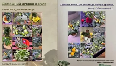 Шпаргалка и гайд. Домашний огород с нуля и Томаты дома (Кристина Сидельникова)