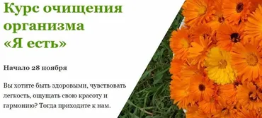 Курс очищения организма «Я есть» (Наталья Малыхина)