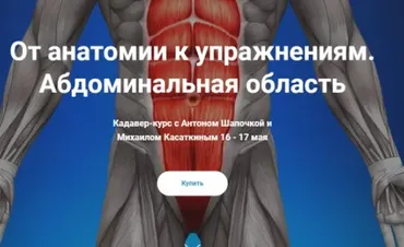 От анатомии к упражнениям. Абдоминальная область (Антон Шапочка, Михаил Касаткин)