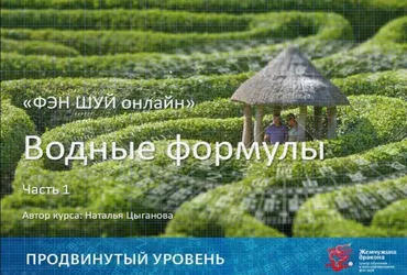 Фэн Шуй онлайн. Продвинутый уровень 10/10 (Наталья Цыганова)