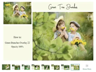 [Creative Market] 120 Green Tree Branches Overlays