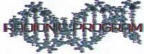 [ETpro] Radionic program Hz. Моя вторая половинка