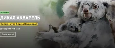 [KalachevaSchool] Дикая акварель. Тариф Стандарт (Алиса Калинова)