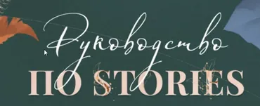 [Bizcarusel] Руководство по stories. Pro-версия (Катерина Алешина)