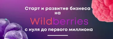 Старт и развитие бизнеса на Wildberries. Тариф Первые деньги (Александр Меркулов)