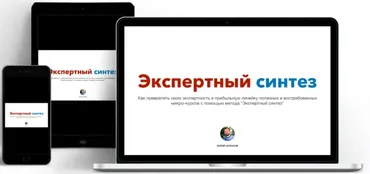 Экспертный синтез (Юрий Курилов)
