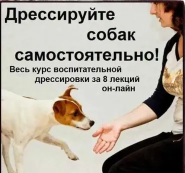 Дрессируйте собак самостоятельно! Полный курс (Софья Баскина)