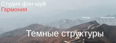 [Студия Фэн-шуй Гармония]  Темные структуры (Юлия Бальсина)