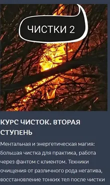 Курс чисток. Вторая ступень (Ольга Ракита)