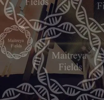 [Maitreya Fields] DM: Часть 3: Больше нет. DM: SBR