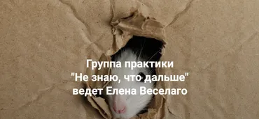 [Институт Открытого поля] Не знаю, что дальше (Елена Веселаго)