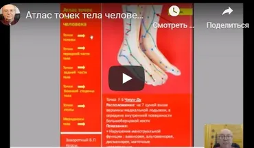 Атлас точек тела человека (Владимир Завортный)