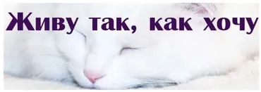 Живу так, как хочу (Надежда Семененко)