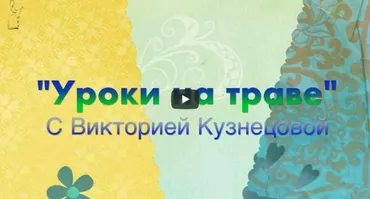 Уроки на траве (Виктория Кузнецова)