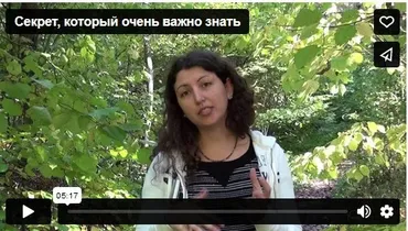Сборник медитаций Четыре стихии (Анна Гак)