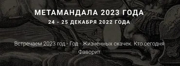 [МетаПортрет] МетаМандала 2023 года (Ирина Бердина)