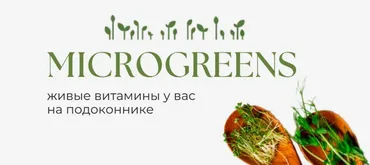 Microgreens. Живые витамины у вас на подоконнике. Учебное пособие по выращиванию (Татьяна Иримчук)