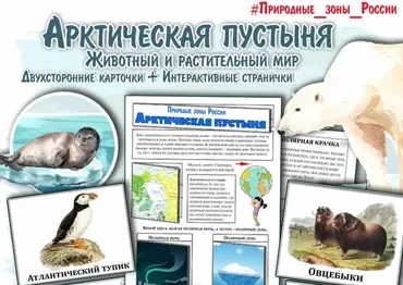Арктическая пустыня. Природная зона России (Елена Солдатова)