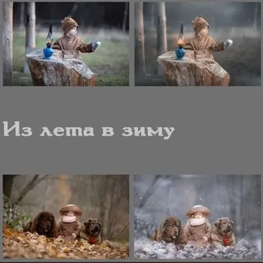 Из лета в зиму (Arma Gray)