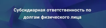 [Цивилистика] Субсидиарная ответственность по долгам физического лица (Андрей Егоров, Михаил Котов)