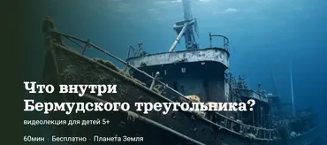 [Детский лекторий] Что внутри Бермудского  треугольника? (Александр Толмачев)