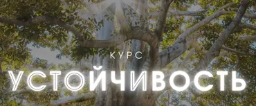 Устойчивость. Тариф Продвинутый (Александра Алексеева)